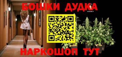 ГАЛЛЮЦИНОГЕННЫЕ ГРИБЫ Гай